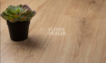 Kronopol Platinium Zodiak d4571 Дуб Virgo фото 2 | FLOORDEALER